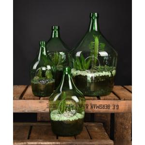 Open terrarium fles M 5L 19x19x33 cm groen